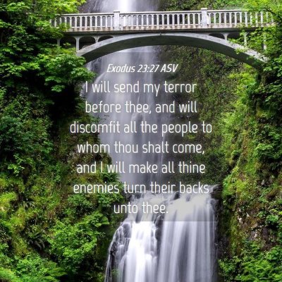 Picture 04 - Exodus 23:27 ASV - I will send my terror before thee, and will - Bible Verse Picture