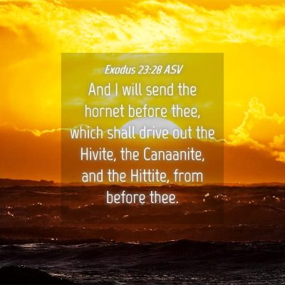 Picture 04 - Exodus 23:28 ASV - And I will send the hornet before thee, which - Bible Verse Picture