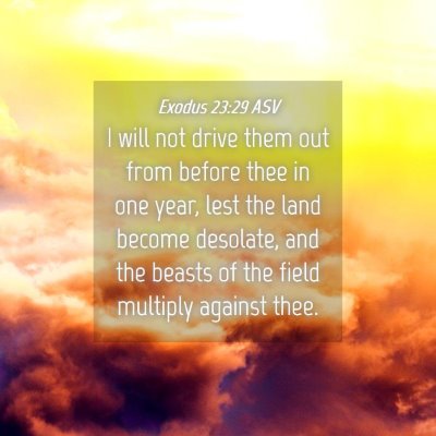 Picture 04 - Exodus 23:29 ASV - I will not drive them out from before thee in one - Bible Verse Picture