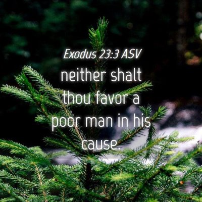 Picture 04 - Exodus 23:3 ASV - neither shalt thou favor a poor man in his - Bible Verse Picture