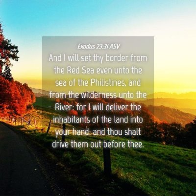 Picture 04 - Exodus 23:31 ASV - And I will set thy border from the Red Sea even - Bible Verse Picture