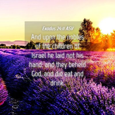 Picture 04 - Exodus 24:11 ASV - And upon the nobles of the children of Israel he - Bible Verse Picture