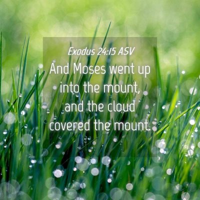 Picture 04 - Exodus 24:15 ASV - And Moses went up into the mount, and the cloud - Bible Verse Picture