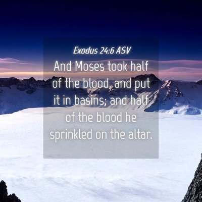 Picture 04 - Exodus 24:6 ASV - And Moses took half of the blood, and put it in - Bible Verse Picture
