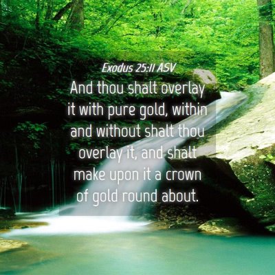 Picture 04 - Exodus 25:11 ASV - And thou shalt overlay it with pure gold, within - Bible Verse Picture