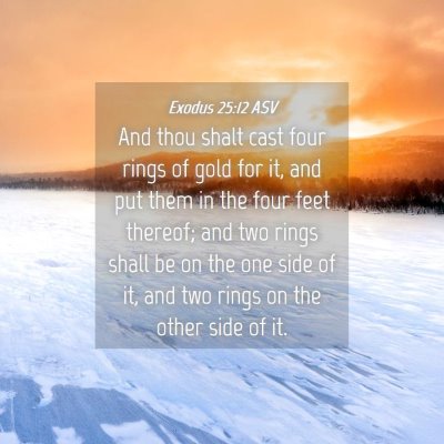 Picture 04 - Exodus 25:12 ASV - And thou shalt cast four rings of gold for it, - Bible Verse Picture