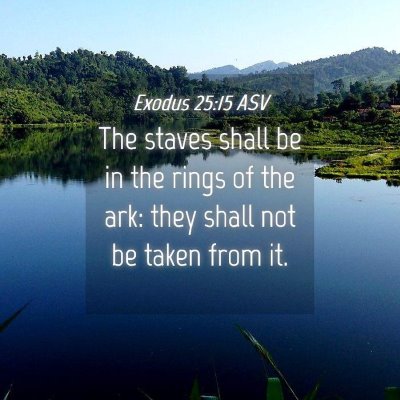 Picture 04 - Exodus 25:15 ASV - The staves shall be in the rings of the ark: they - Bible Verse Picture