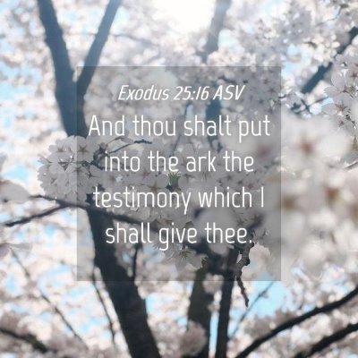 Picture 04 - Exodus 25:16 ASV - And thou shalt put into the ark the testimony - Bible Verse Picture