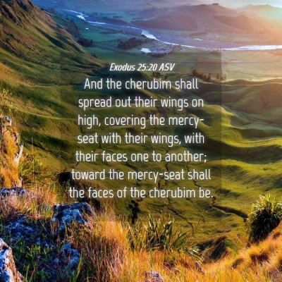 Picture 04 - Exodus 25:20 ASV - And the cherubim shall spread out their wings on - Bible Verse Picture