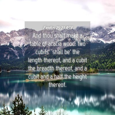 Picture 04 - Exodus 25:23 ASV - And thou shalt make a table of acacia wood: two - Bible Verse Picture