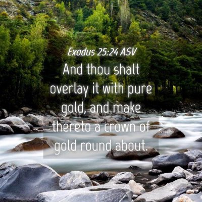 Picture 04 - Exodus 25:24 ASV - And thou shalt overlay it with pure gold, and - Bible Verse Picture