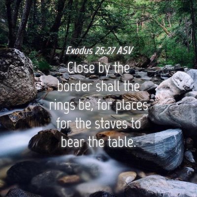 Picture 04 - Exodus 25:27 ASV - Close by the border shall the rings be, for - Bible Verse Picture