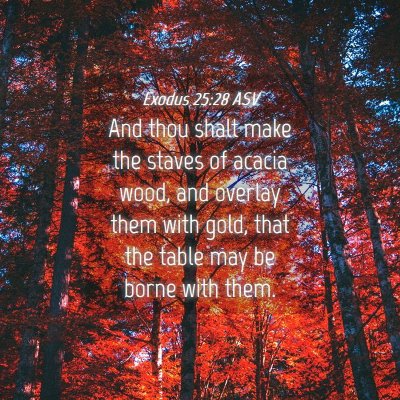 Picture 04 - Exodus 25:28 ASV - And thou shalt make the staves of acacia wood, - Bible Verse Picture