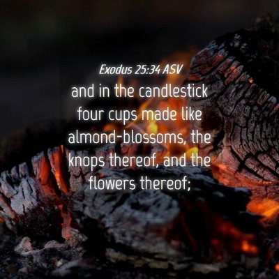 Picture 04 - Exodus 25:34 ASV - and in the candlestick four cups made like - Bible Verse Picture