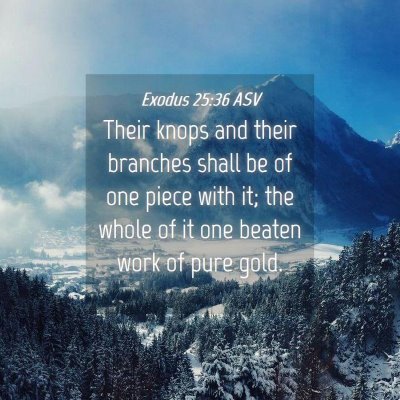 Picture 04 - Exodus 25:36 ASV - Their knops and their branches shall be of one - Bible Verse Picture