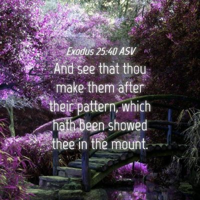 Picture 04 - Exodus 25:40 ASV - And see that thou make them after their pattern, - Bible Verse Picture