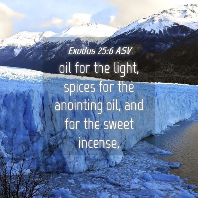 Picture 04 - Exodus 25:6 ASV - oil for the light, spices for the anointing oil, - Bible Verse Picture