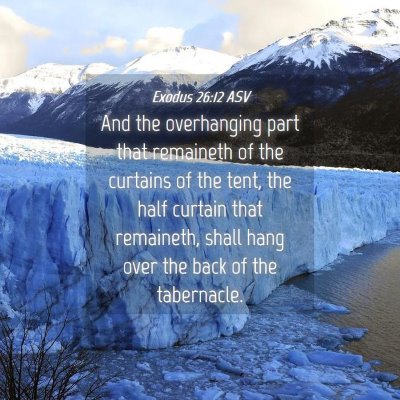 Picture 04 - Exodus 26:12 ASV - And the overhanging part that remaineth of the - Bible Verse Picture