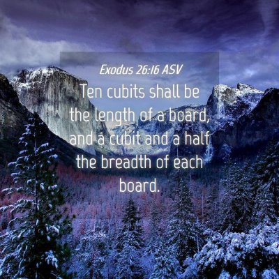 Picture 04 - Exodus 26:16 ASV - Ten cubits shall be the length of a board, and a - Bible Verse Picture