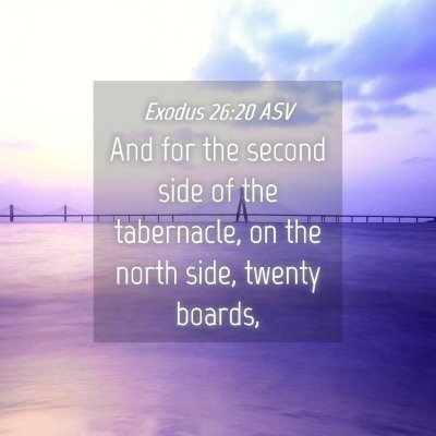 Picture 04 - Exodus 26:20 ASV - And for the second side of the tabernacle, on the - Bible Verse Picture