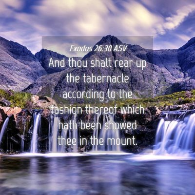 Picture 04 - Exodus 26:30 ASV - And thou shalt rear up the tabernacle according - Bible Verse Picture