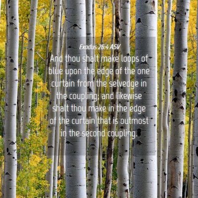 Picture 04 - Exodus 26:4 ASV - And thou shalt make loops of blue upon the edge - Bible Verse Picture