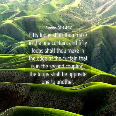 Picture 04 - Exodus 26:5 ASV - Fifty loops shalt thou make in the one curtain, - Bible Verse Picture