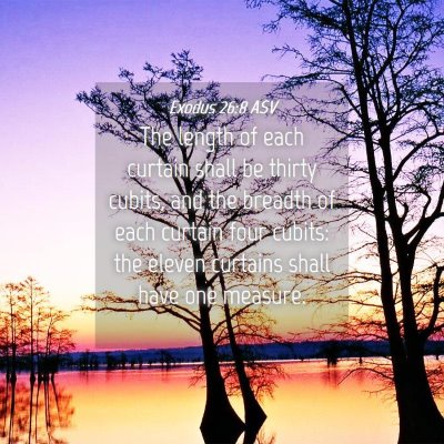 Picture 04 - Exodus 26:8 ASV - The length of each curtain shall be thirty - Bible Verse Picture
