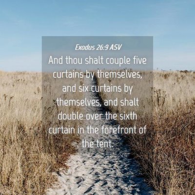 Picture 04 - Exodus 26:9 ASV - And thou shalt couple five curtains by - Bible Verse Picture