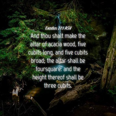 Picture 04 - Exodus 27:1 ASV - And thou shalt make the altar of acacia wood, - Bible Verse Picture