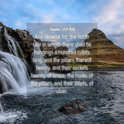 Picture 04 - Exodus 27:11 ASV - And likewise for the north side in length there - Bible Verse Picture