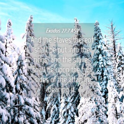 Picture 04 - Exodus 27:7 ASV - And the staves thereof shall be put into the - Bible Verse Picture