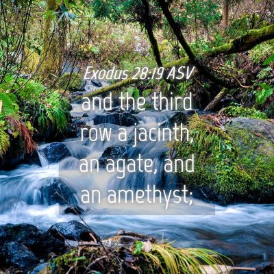 Picture 04 - Exodus 28:19 ASV - and the third row a jacinth, an agate, and an - Bible Verse Picture