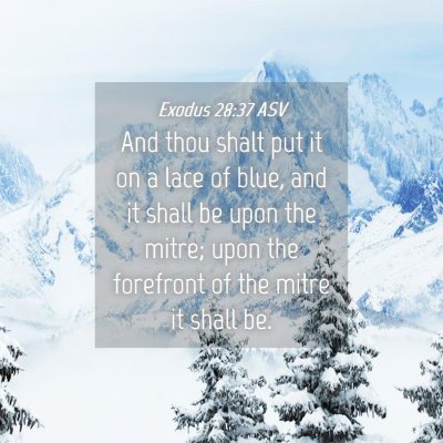Picture 04 - Exodus 28:37 ASV - And thou shalt put it on a lace of blue, and it - Bible Verse Picture