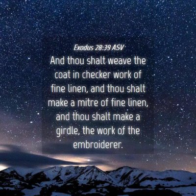 Picture 04 - Exodus 28:39 ASV - And thou shalt weave the coat in checker work of - Bible Verse Picture