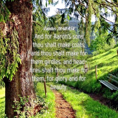Picture 04 - Exodus 28:40 ASV - And for Aaron's sons thou shalt make coats, and - Bible Verse Picture