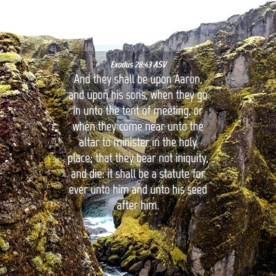 Picture 04 - Exodus 28:43 ASV - And they shall be upon Aaron, and upon his sons, - Bible Verse Picture
