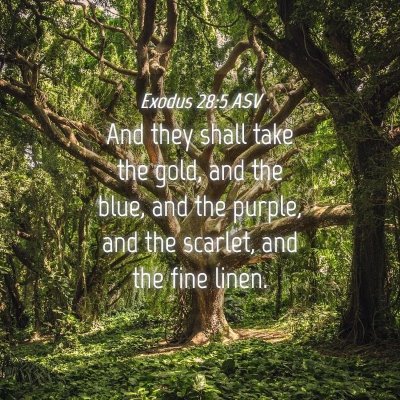 Picture 04 - Exodus 28:5 ASV - And they shall take the gold, and the blue, and - Bible Verse Picture