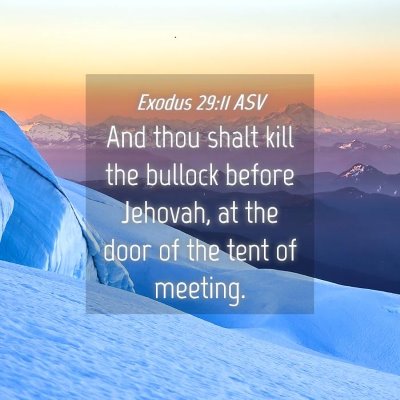 Picture 04 - Exodus 29:11 ASV - And thou shalt kill the bullock before Jehovah, - Bible Verse Picture