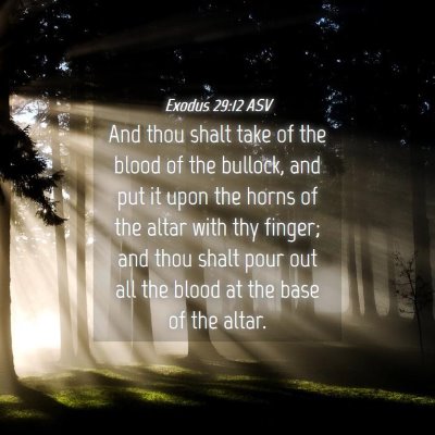 Picture 04 - Exodus 29:12 ASV - And thou shalt take of the blood of the bullock, - Bible Verse Picture