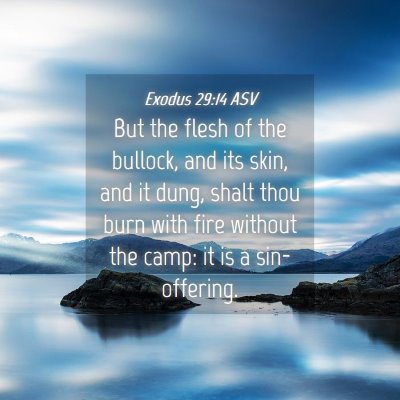 Picture 04 - Exodus 29:14 ASV - But the flesh of the bullock, and its skin, and - Bible Verse Picture
