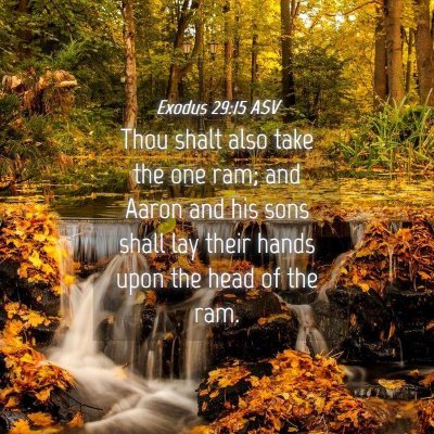 Picture 04 - Exodus 29:15 ASV - Thou shalt also take the one ram; and Aaron and - Bible Verse Picture