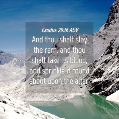 Picture 04 - Exodus 29:16 ASV - And thou shalt slay the ram, and thou shalt take - Bible Verse Picture