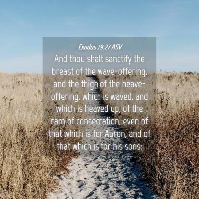 Picture 04 - Exodus 29:27 ASV - And thou shalt sanctify the breast of the - Bible Verse Picture