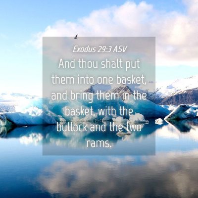 Picture 04 - Exodus 29:3 ASV - And thou shalt put them into one basket, and - Bible Verse Picture