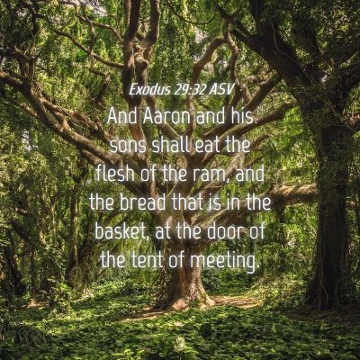 Picture 04 - Exodus 29:32 ASV - And Aaron and his sons shall eat the flesh of the - Bible Verse Picture