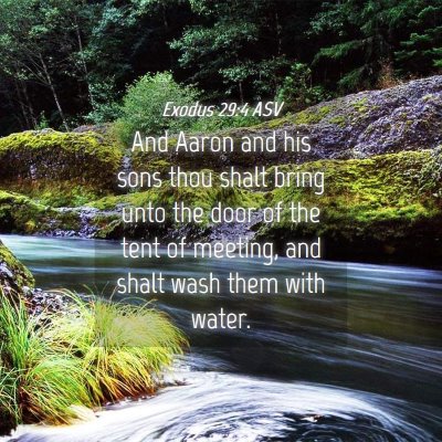 Picture 04 - Exodus 29:4 ASV - And Aaron and his sons thou shalt bring unto the - Bible Verse Picture