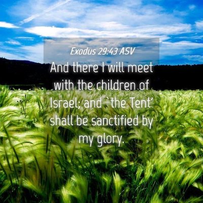 Picture 04 - Exodus 29:43 ASV - And there I will meet with the children of - Bible Verse Picture