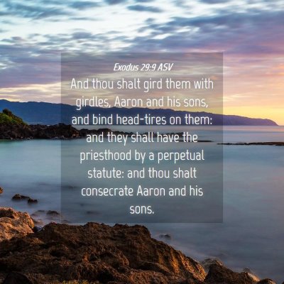 Picture 04 - Exodus 29:9 ASV - And thou shalt gird them with girdles, Aaron and - Bible Verse Picture