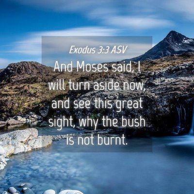 Picture 04 - Exodus 3:3 ASV - And Moses said, I will turn aside now, and see - Bible Verse Picture